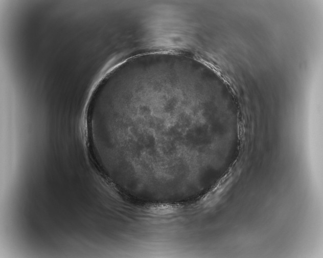 X0000093750198200710161203