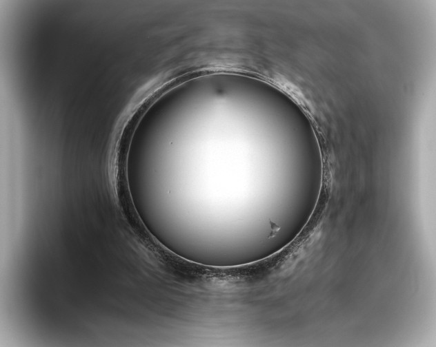 X0000093750199200710161203