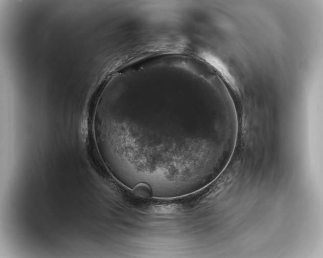 X0000093750202200710161203