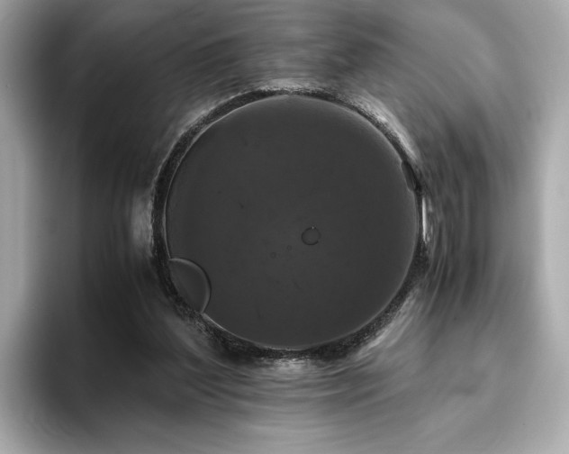 X0000093750204200710161203