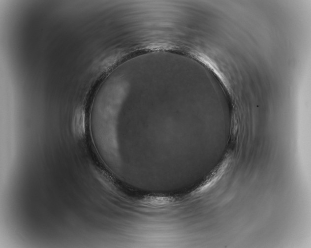 X0000093750205200710161203