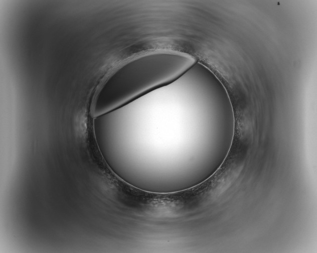 X0000093750207200710161203