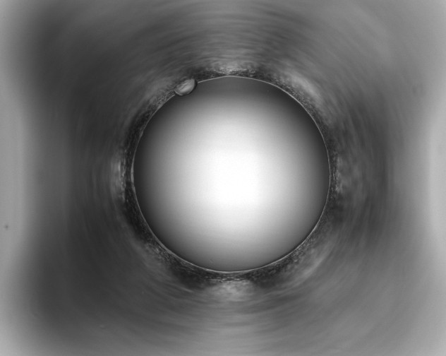 X0000093750210200710161203