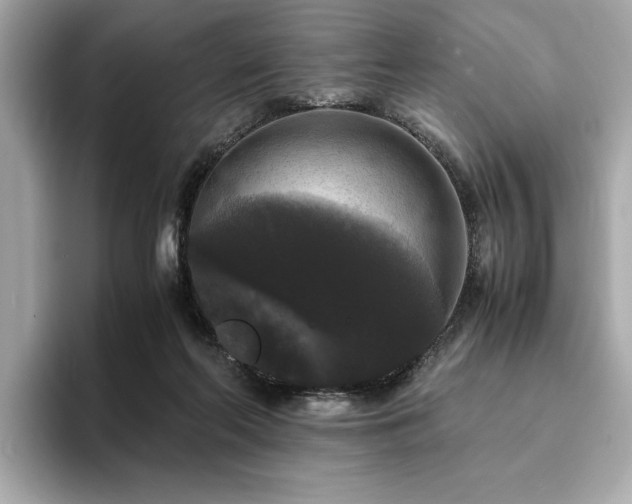 X0000093750214200710161203