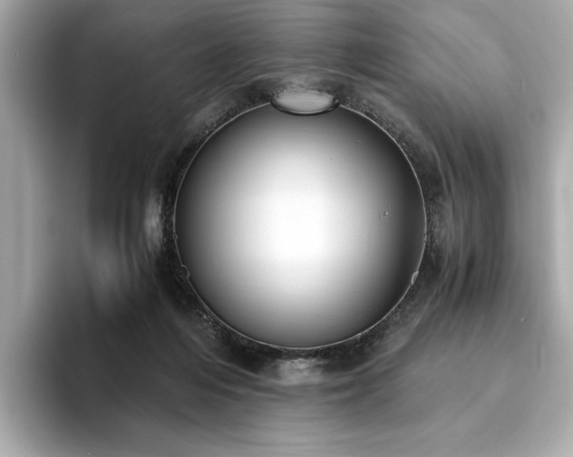 X0000093750216200710161203