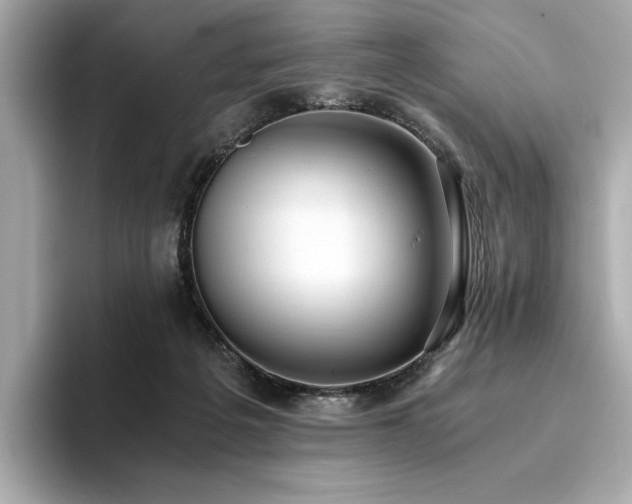X0000093750217200710161203