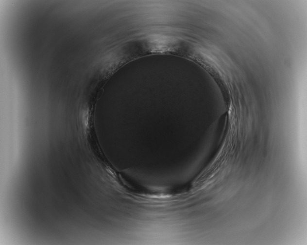 X0000093750219200710161203
