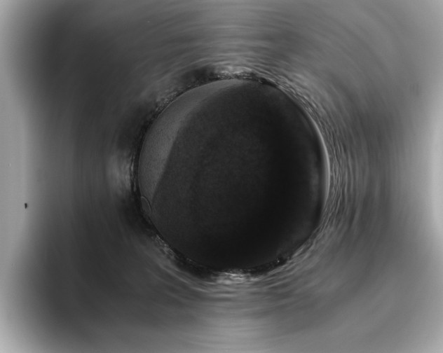 X0000093750227200710161203