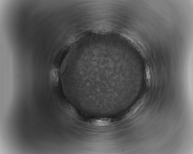 X0000093750232200710161203