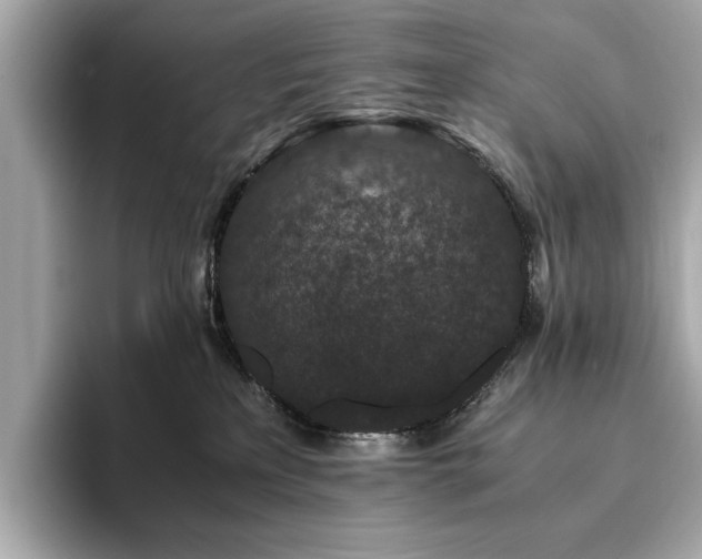 X0000093750233200710161203