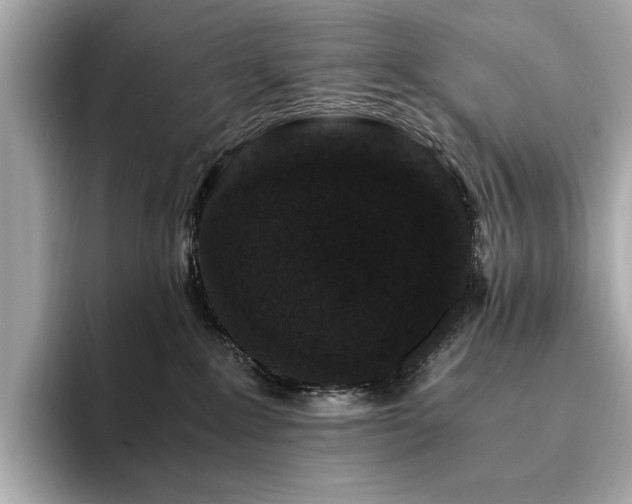 X0000093750235200710161203