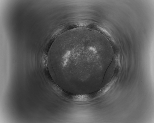 X0000093750237200710161203