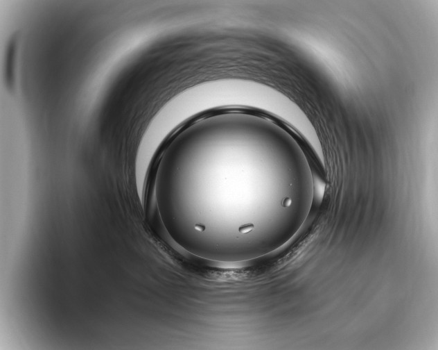 X0000093750239200710161203