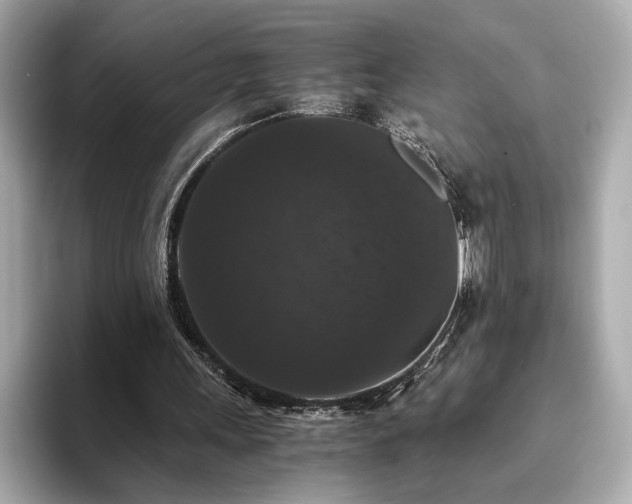 X0000093750243200710161202