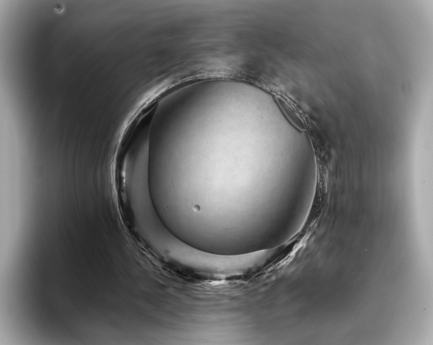 X0000093750244200710161202