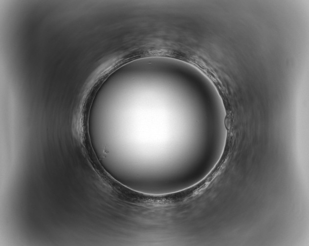 X0000093750245200710161202
