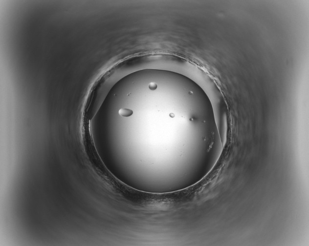 X0000093750248200710161202