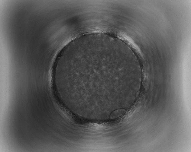 X0000093750250200710161202