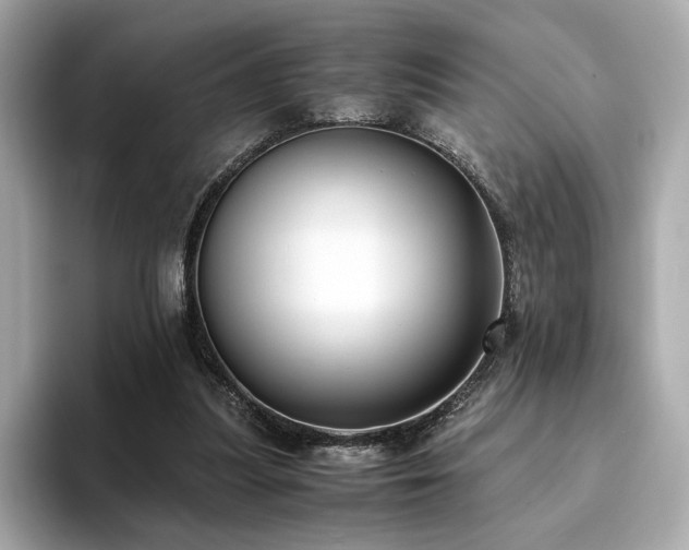 X0000093750251200710161202