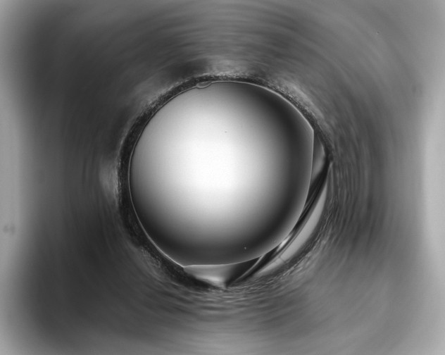 X0000093750252200710161202