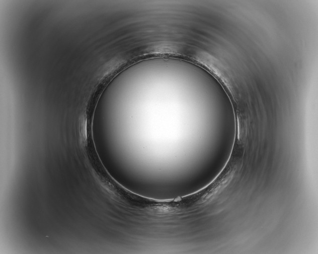 X0000093750253200710161202