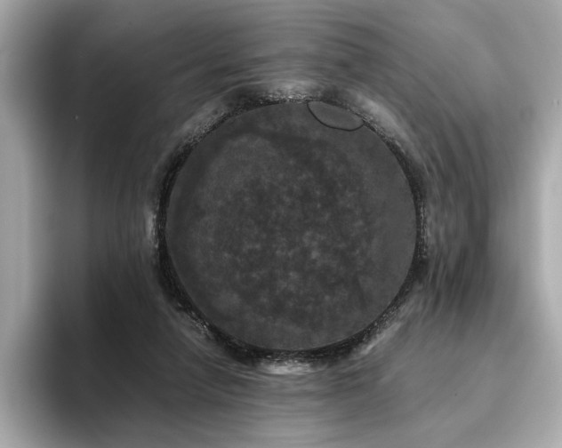 X0000093750258200710161203