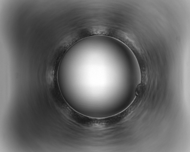 X0000093750263200710161203