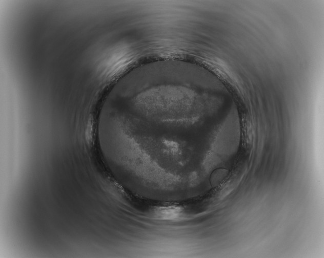 X0000093750266200710161203
