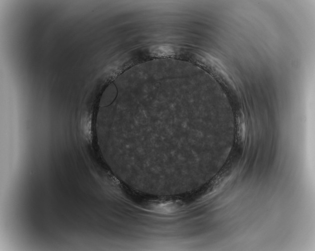 X0000093750267200710161203