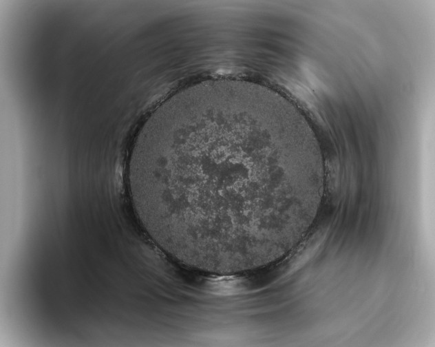 X0000093750269200710161203