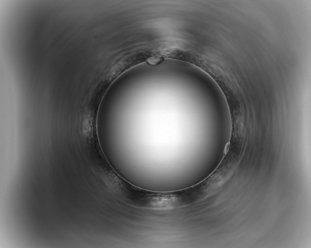 X0000093750274200710161203