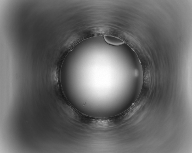 X0000093750282200710161203
