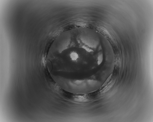 X0000093750285200710161203