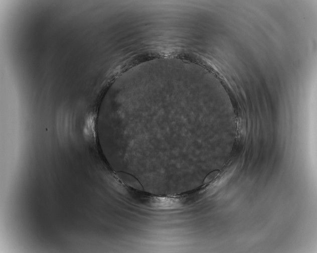 X0000093750286200710161203