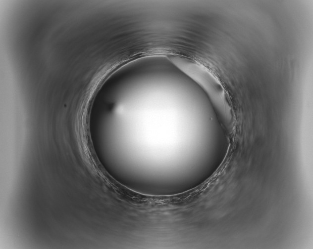 X0000093750289200710161202