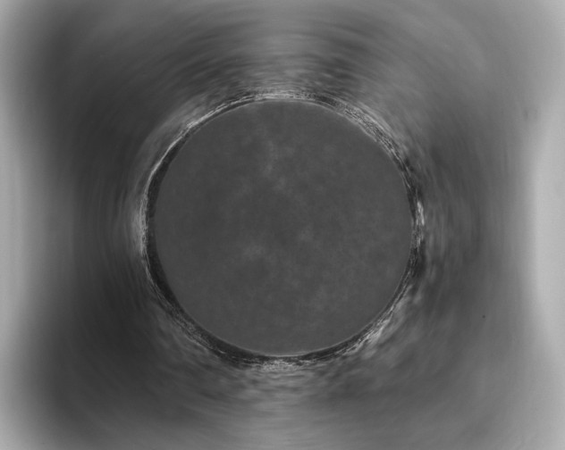 X0000093750290200710161202