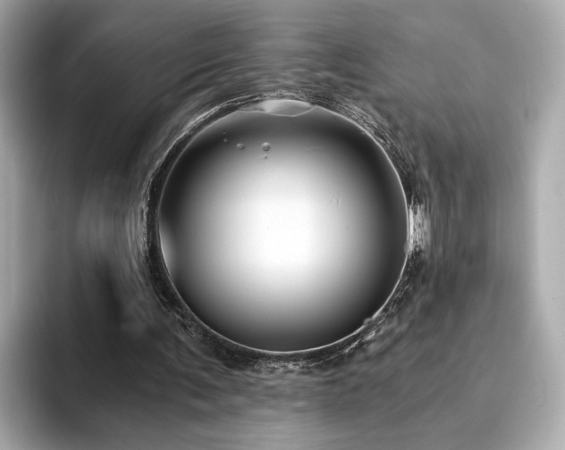 X0000093750291200710161202