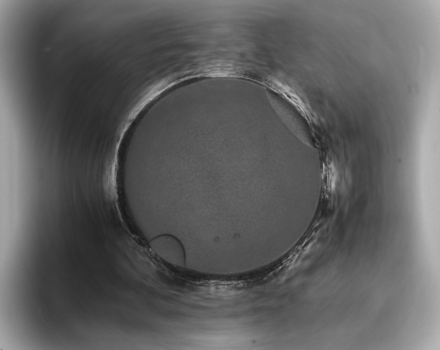 X0000093750292200710161202