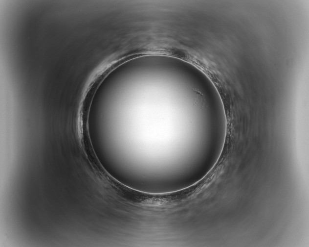 X0000093750294200710161202