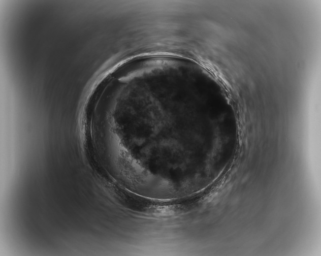 X0000093750295200710161202