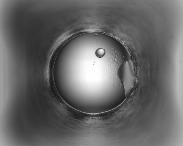 X0000093750296200710161202