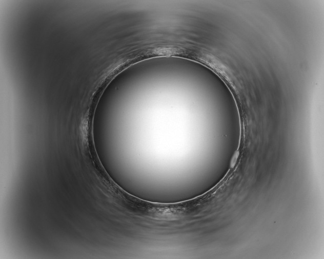 X0000093750297200710161202