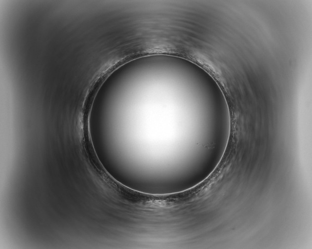 X0000093750298200710161202