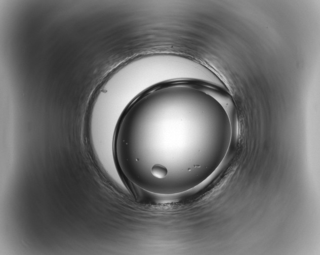 X0000093750301200710161202