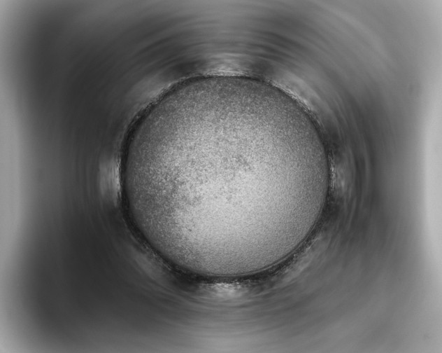 X0000093750302200710161202