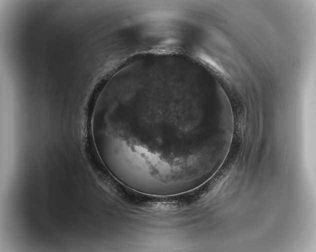 X0000093750303200710161202