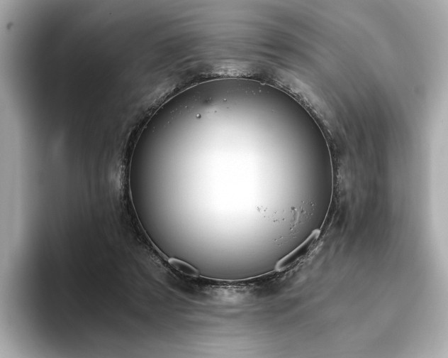 X0000093750305200710161202