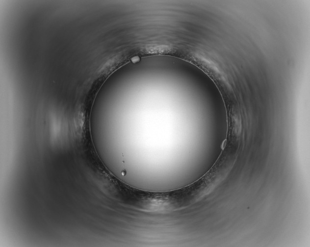 X0000093750308200710161202