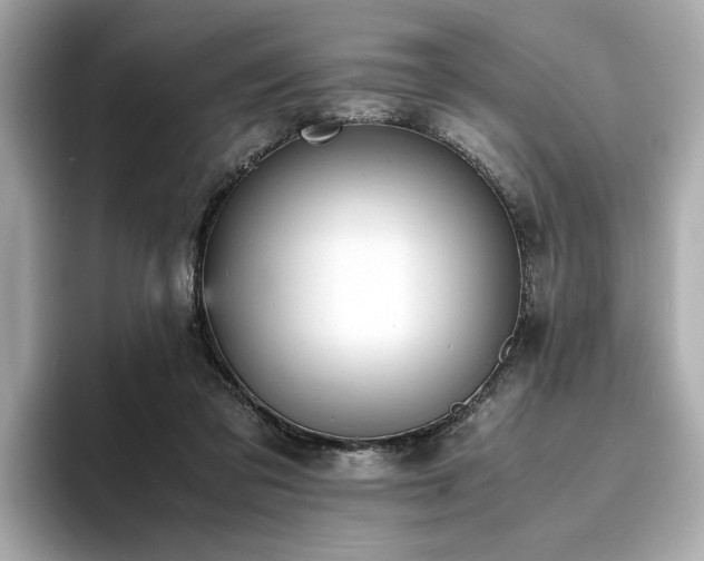X0000093750309200710161202