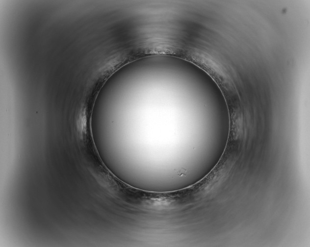 X0000093750310200710161202